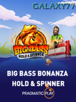 Big Bass   Hold And Spinner game cover